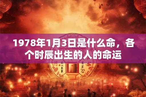 1978年1月3日是什么命,各个时辰出生的人的命运 1978年1月3日是什么命,各个时辰出生的人的命运