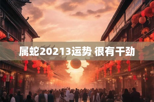 属蛇20213运势 很有干劲