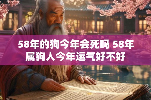 58年的狗今年会死吗 58年属狗人今年运气好不好 58年的狗今年会死吗 58年属狗人今年运气好不好