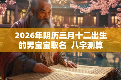 2026年阴历三月十二出生的男宝宝取名  八字测算