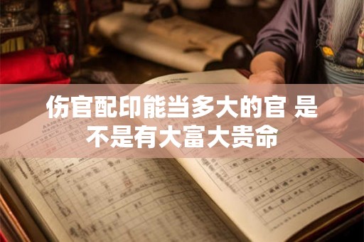 伤官配印能当多大的官 是不是有大富大贵命