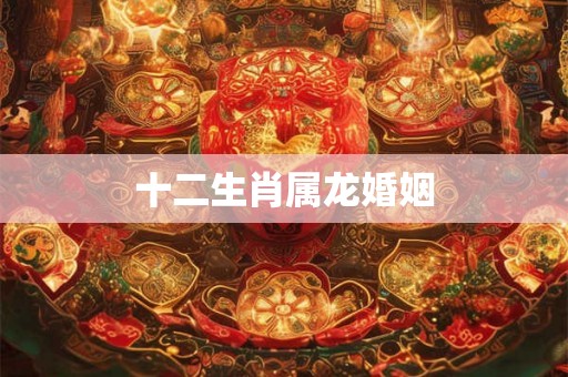十二生肖属龙婚姻 十二生肖属龙婚姻