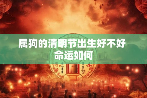 属狗的清明节出生好不好 命运如何 属狗的清明节出生好不好 命运如何