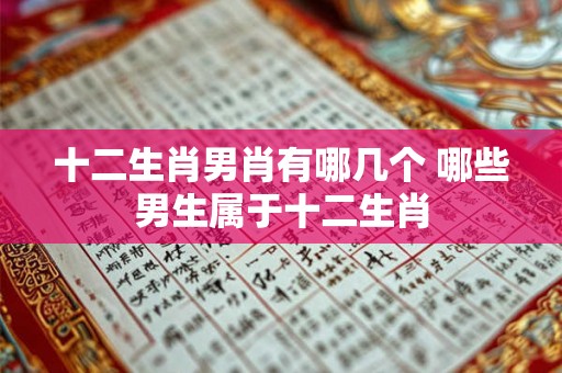 十二生肖男肖有哪几个 哪些男生属于十二生肖