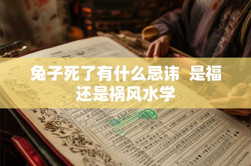 兔子死了有什么忌讳  是福还是祸风水学