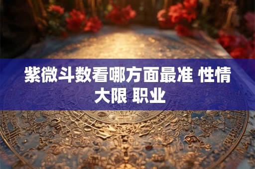 紫微斗数看哪方面最准 性情 大限 职业