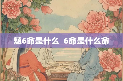 魈6命是什么  6命是什么命