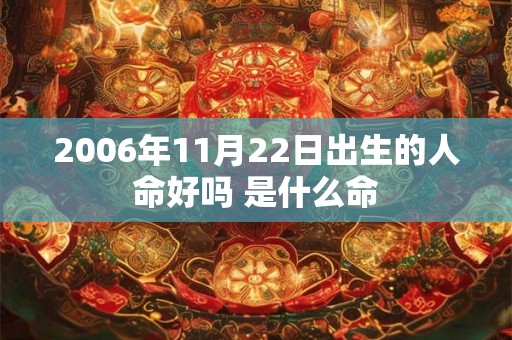 2006年11月22日出生的人命好吗 是什么命