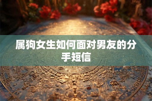 属狗女生如何面对男友的分手短信