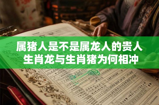 属猪人是不是属龙人的贵人 生肖龙与生肖猪为何相冲