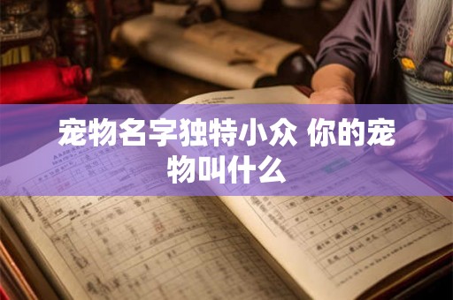 宠物名字独特小众 你的宠物叫什么