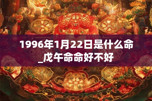 1996年1月22日是什么命_戊午命命好不好