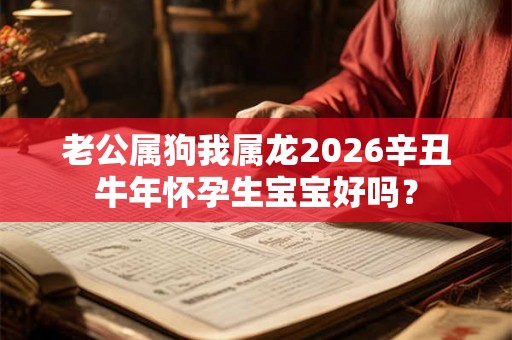 老公属狗我属龙2026辛丑牛年怀孕生宝宝好吗？