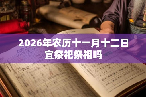 2026年农历十一月十二日宜祭祀祭祖吗
