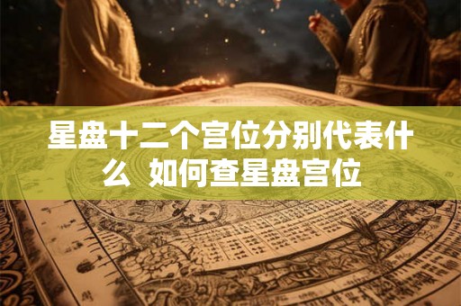 星盘十二个宫位分别代表什么  如何查星盘宫位