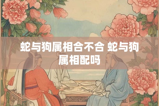 蛇与狗属相合不合 蛇与狗属相配吗