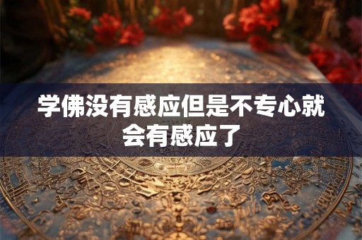 学佛没有感应但是不专心就会有感应了