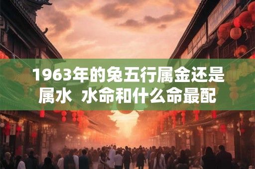 1963年的兔五行属金还是属水  水命和什么命最配