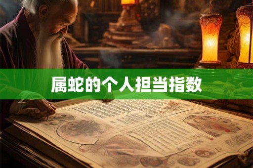 属蛇的个人担当指数