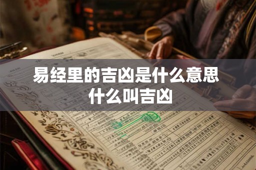 易经里的吉凶是什么意思  什么叫吉凶
