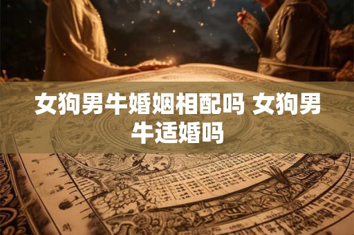 女狗男牛婚姻相配吗 女狗男牛适婚吗