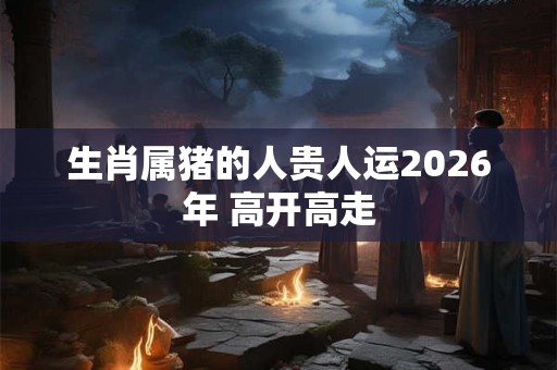 生肖属猪的人贵人运2026年 高开高走