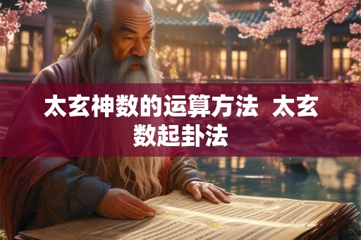 太玄神数的运算方法  太玄数起卦法