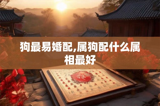 狗最易婚配,属狗配什么属相最好