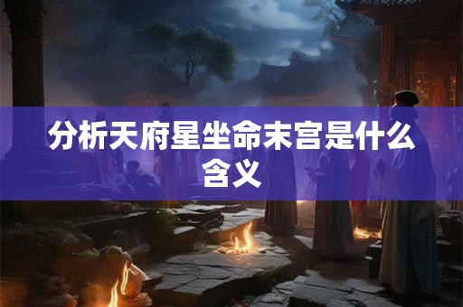 分析天府星坐命末宫是什么含义