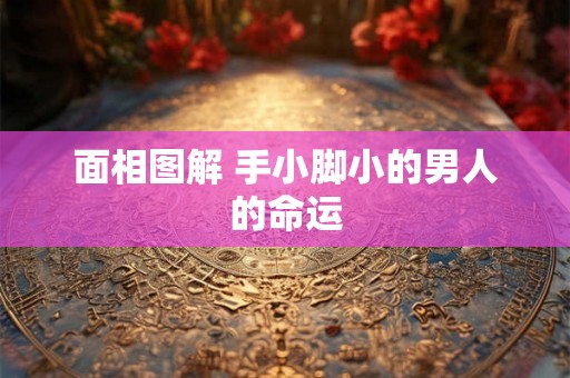 面相图解 手小脚小的男人的命运