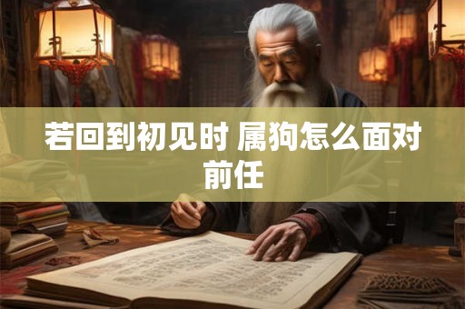 若回到初见时 属狗怎么面对前任