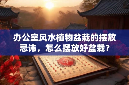 办公室风水植物盆栽的摆放忌讳，怎么摆放好盆栽？