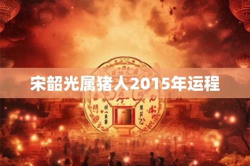 宋韶光属猪人2015年运程
