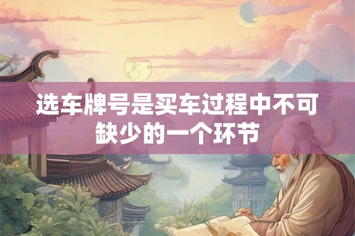 选车牌号是买车过程中不可缺少的一个环节