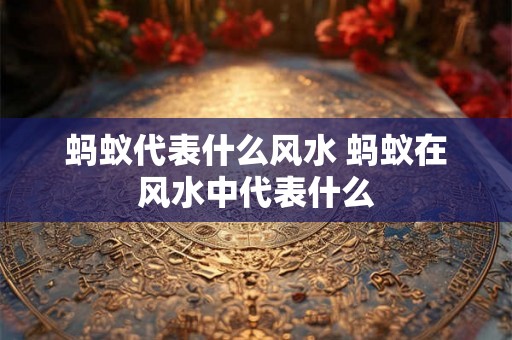 蚂蚁代表什么风水 蚂蚁在风水中代表什么