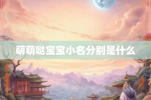 萌萌哒宝宝小名分别是什么