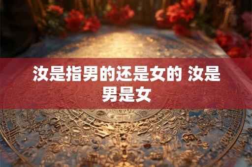 汝是指男的还是女的 汝是男是女