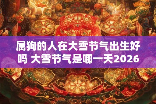 属狗的人在大雪节气出生好吗 大雪节气是哪一天2026 属狗的人在大雪节气出生好吗 大雪节气是哪一天2026