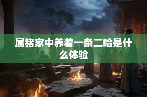 属猪家中养着一条二哈是什么体验