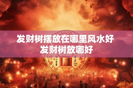 发财树摆放在哪里风水好 发财树放哪好