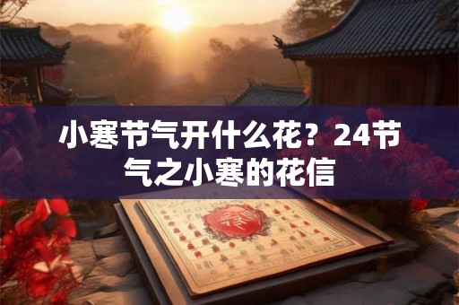 小寒节气开什么花？24节气之小寒的花信