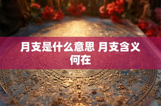 月支是什么意思 月支含义何在 月支是什么意思 月支含义何在