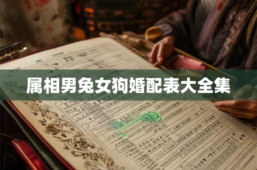 属相男兔女狗婚配表大全集