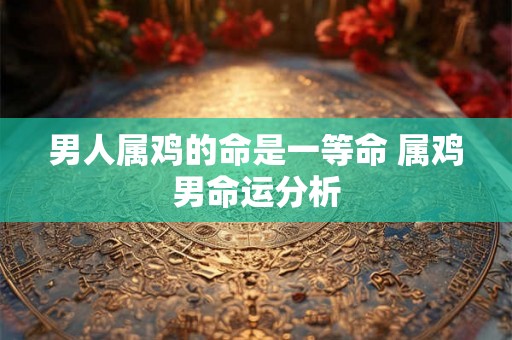 男人属鸡的命是一等命 属鸡男命运分析