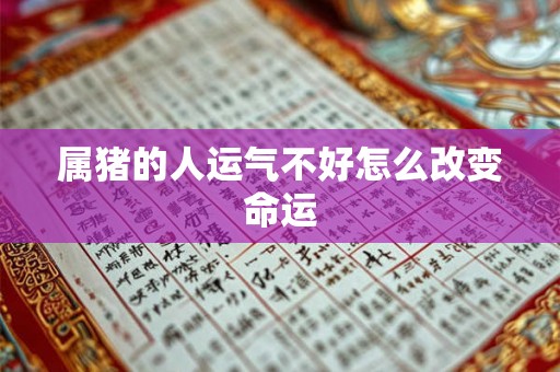 属猪的人运气不好怎么改变命运