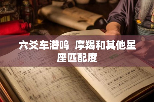 六爻车潜鸣 摩羯和其他星座匹配度 六爻车潜鸣 摩羯和其他星座匹配度