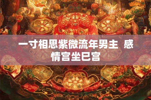一寸相思紫微流年男主  感情宫坐巳宫