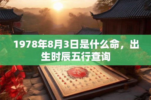 1978年8月3日是什么命,出生时辰五行查询 1978年8月3日是什么命,出生时辰五行查询