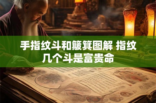 手指纹斗和簸箕图解 指纹几个斗是富贵命
