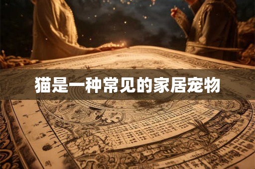 猫是一种常见的家居宠物 猫是一种常见的家居宠物